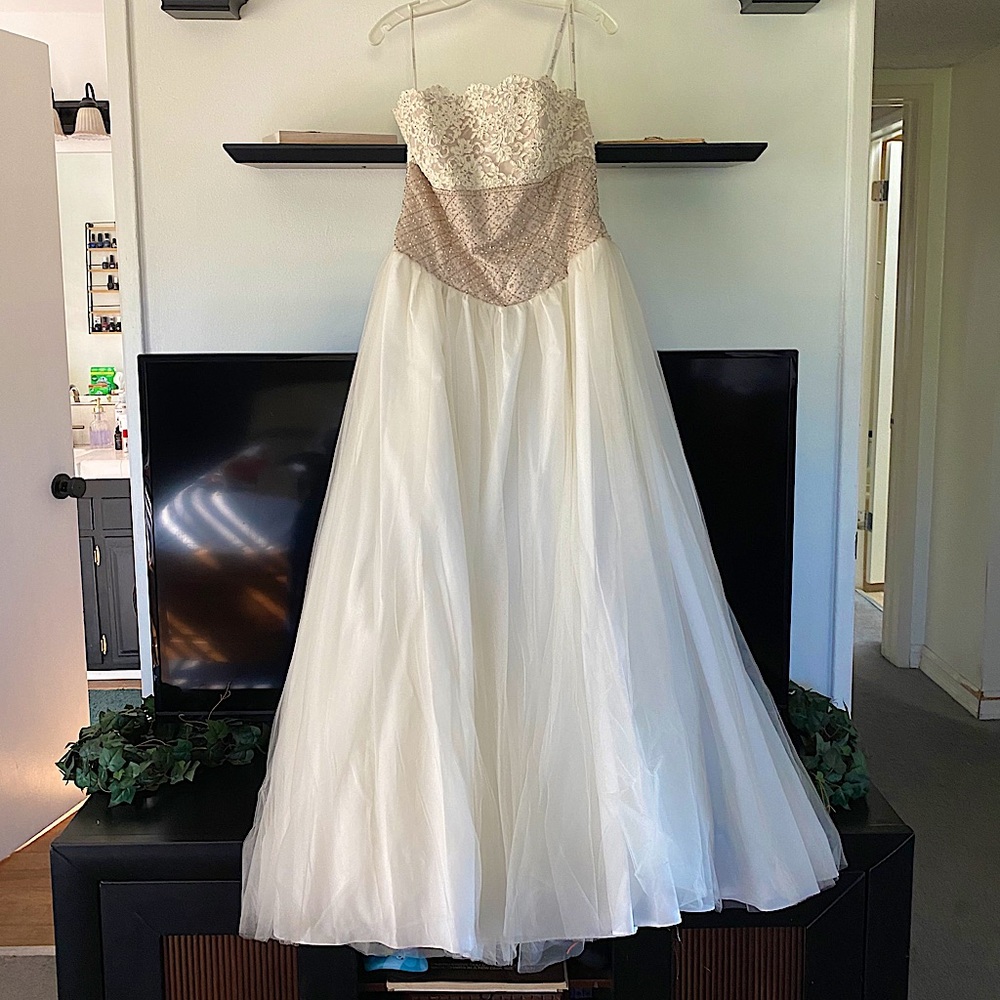 David’s Bridal Dress